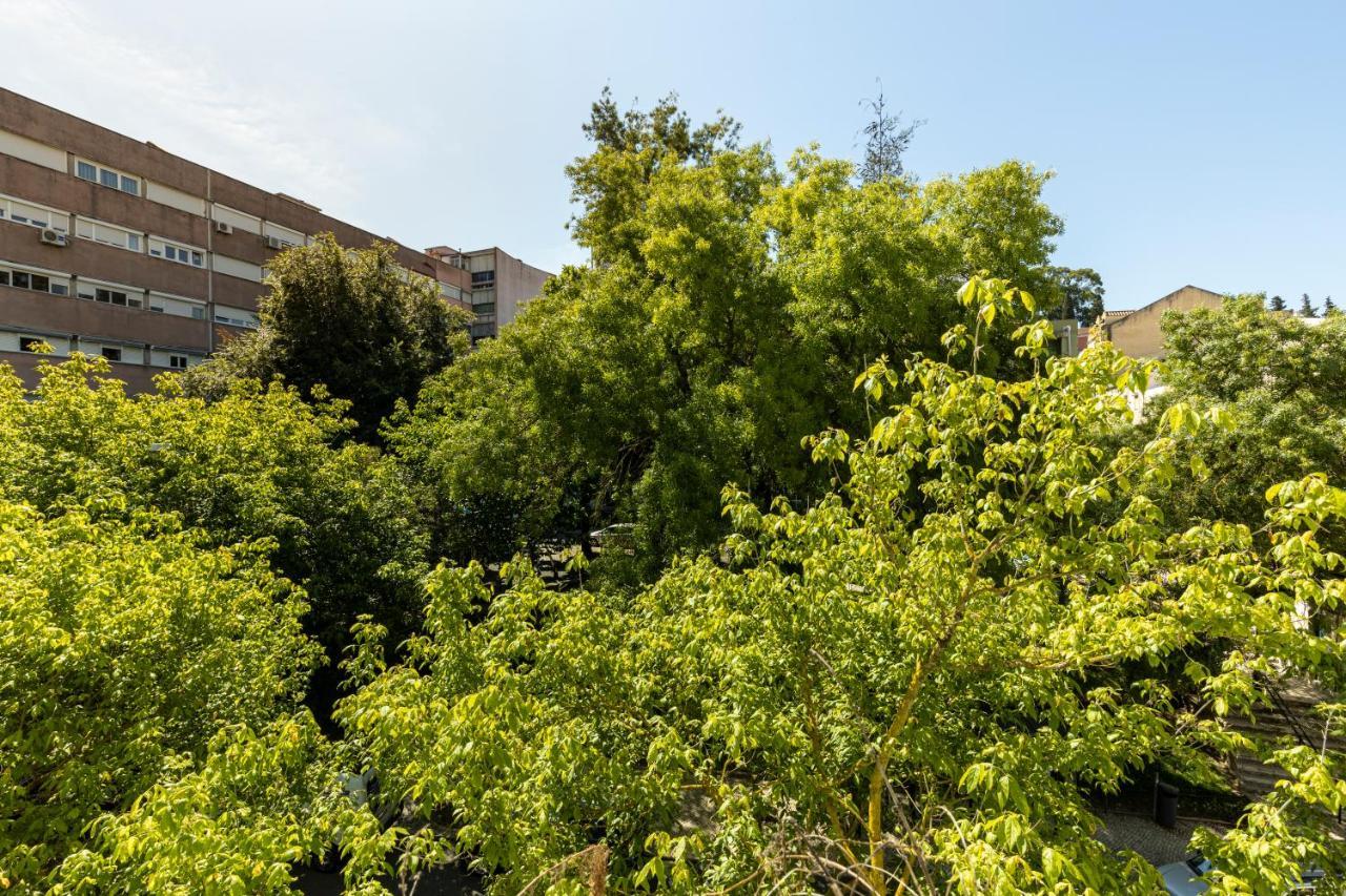 Comfy 3 Bedroom Apartment Campo De Ourique Lisboa 外观 照片